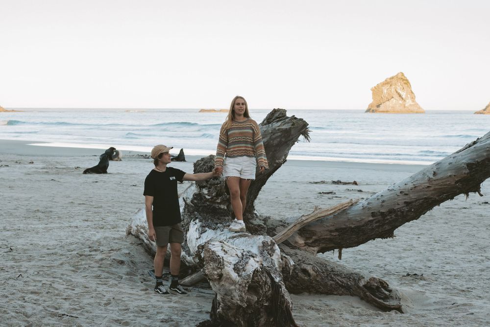People enjoying leisure time on a beach with driftwood and coastal scenery in the background.