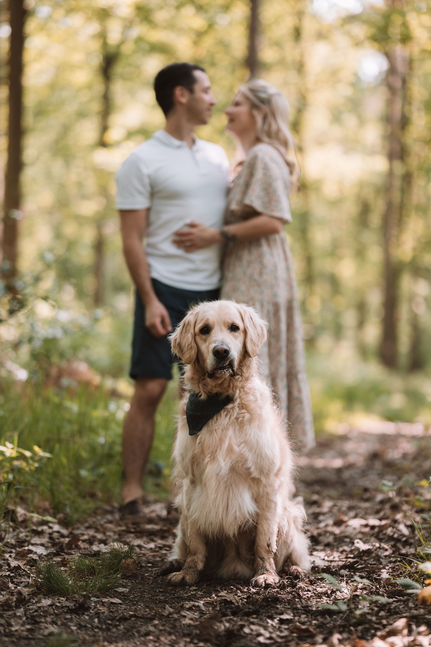 Golden retriever sits in foreground on forest path while couple enjoys romantic moment in soft sunlit woods.