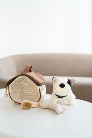 A plush white dog toy with a bone sits next to a beige mesh pet carrier on a light colored surface.
