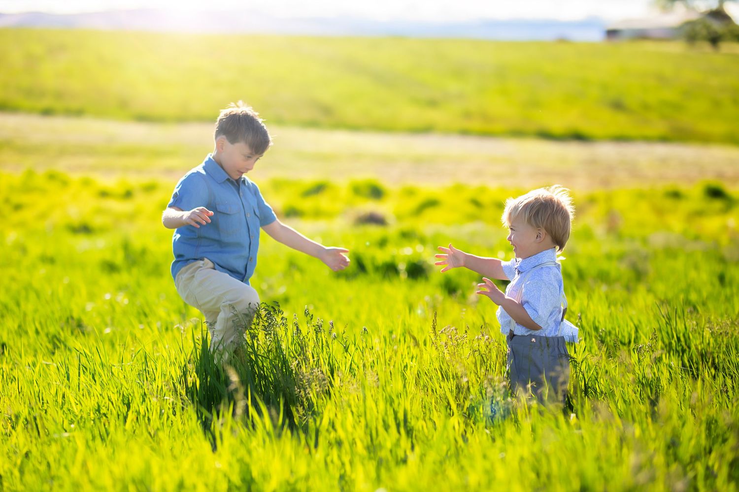 Boys playing in a grassy field on a warm sunny evening during a family photography session in Ellensburg, WA