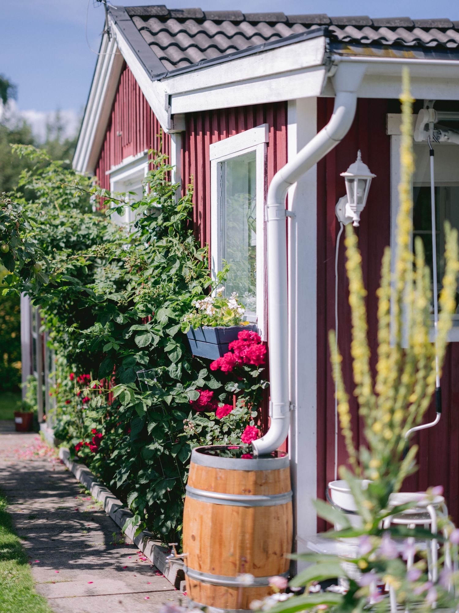 Charming red cottage with white trim features a wooden barrel and bright pink flowers along garden path in summer.