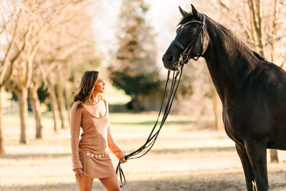 A scenic equestrian trail ride through autumn trees with riders on horseback enjoying the wilderness view.