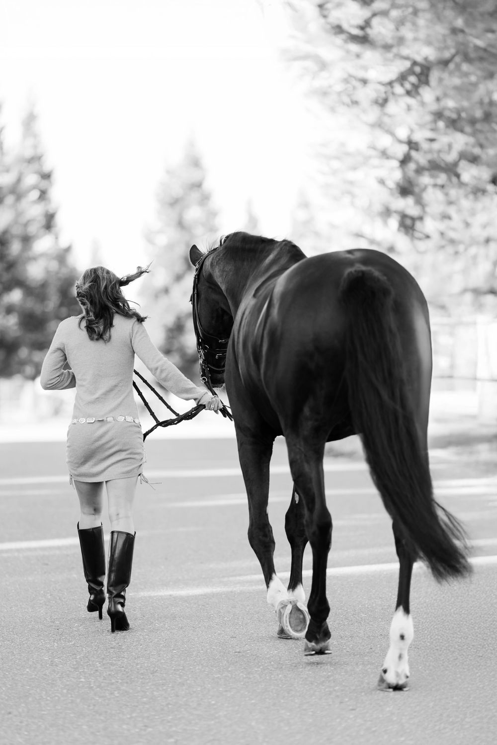 Artistic black and white photo showing someone walking alongside a large black horse on a paved path.