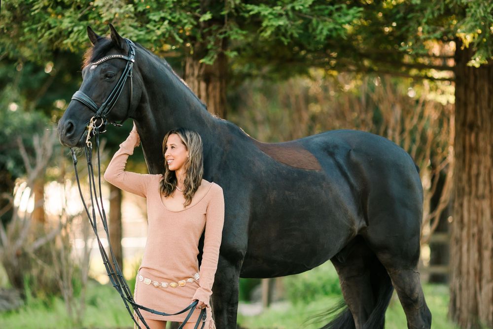 Someone gently strokes the muzzle of a large black horse in a peaceful woodland setting at sunset.