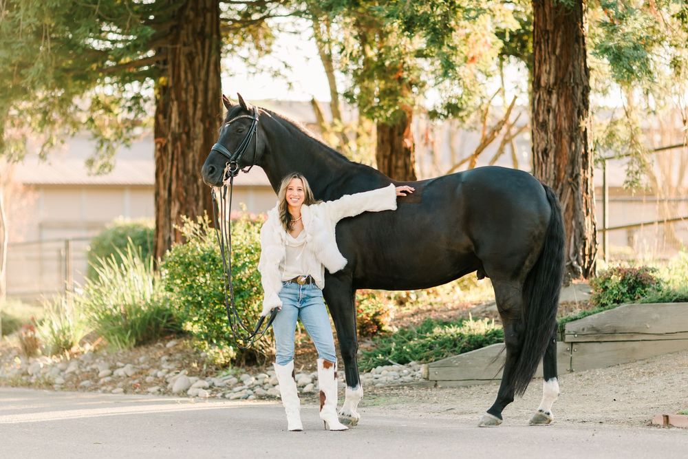 A tall black horse stands beside someone in casual white clothing on a sunny day.