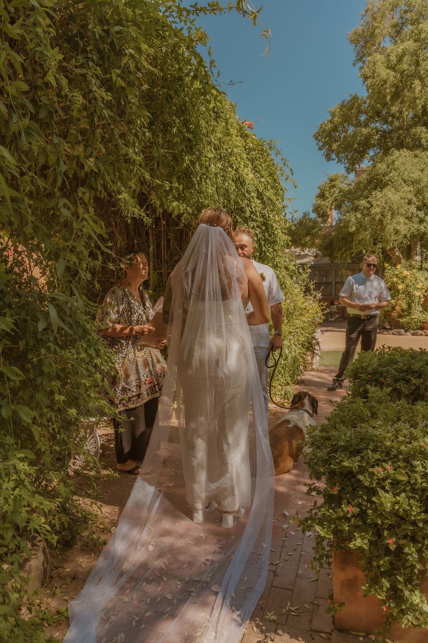 A bride in a flowing veil walks down a brick garden path surrounded by lush greenery on a sunny day.