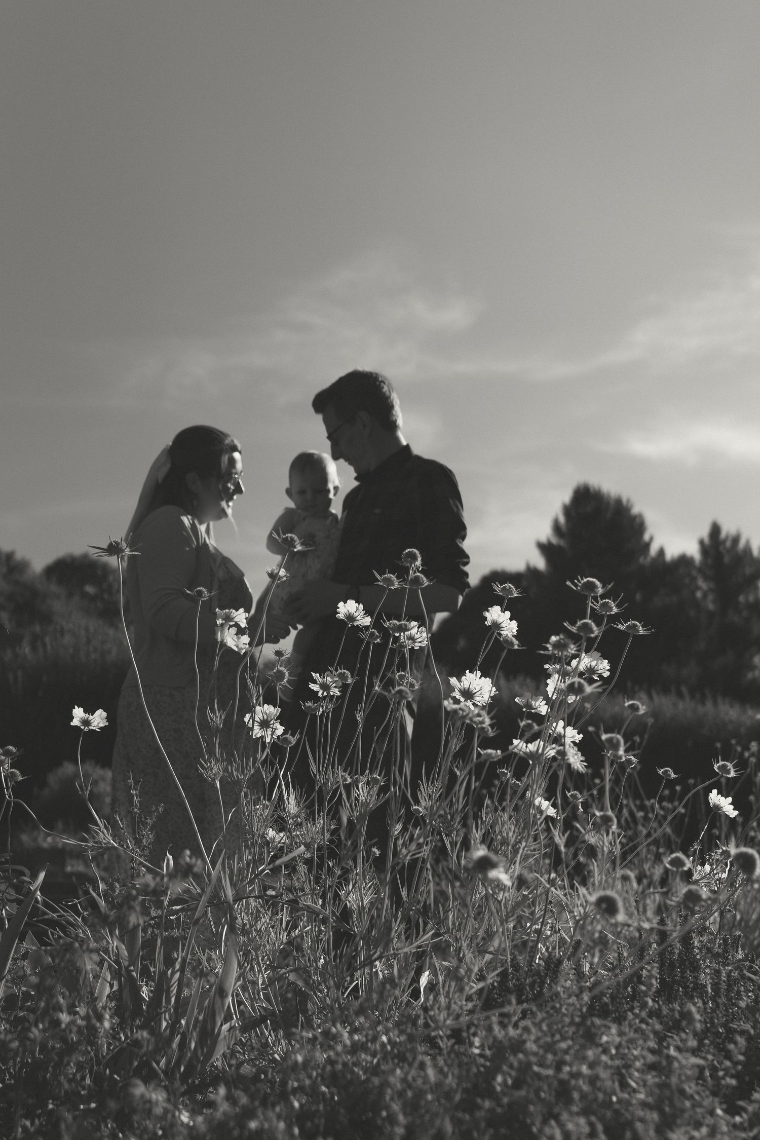 Black and white silhouette of three figures standing in a meadow with wildflowers in foreground against cloudy sky.