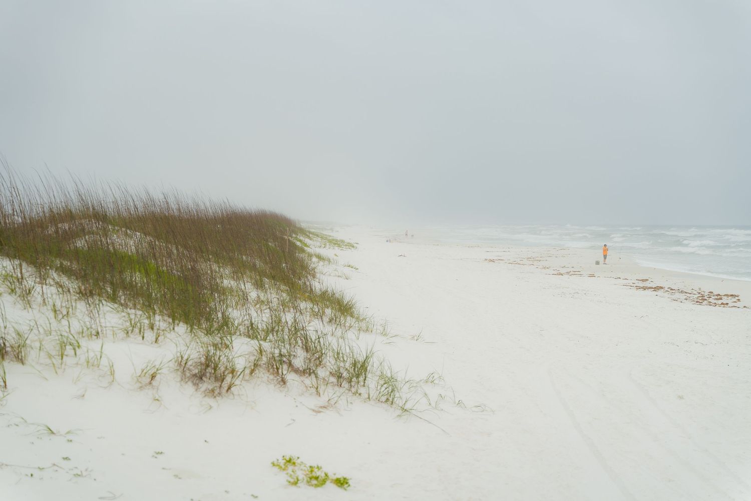 Misty coastal landscape with white sandy beach dunes and sea grass against a foggy ocean horizon.