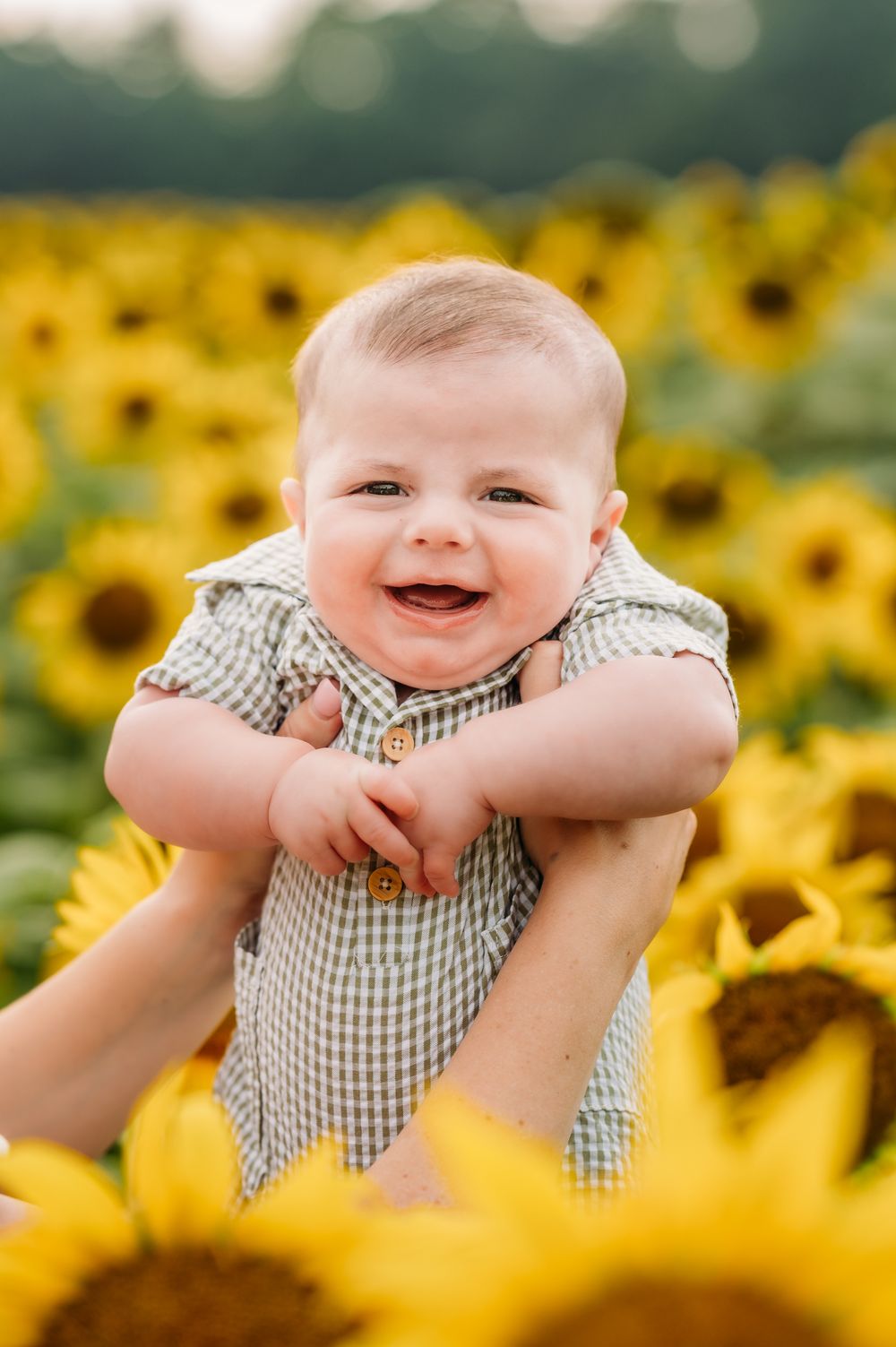 A baby wearing a gingham outfit smiles joyfully while being held up in a field of bright yellow sunflowers.