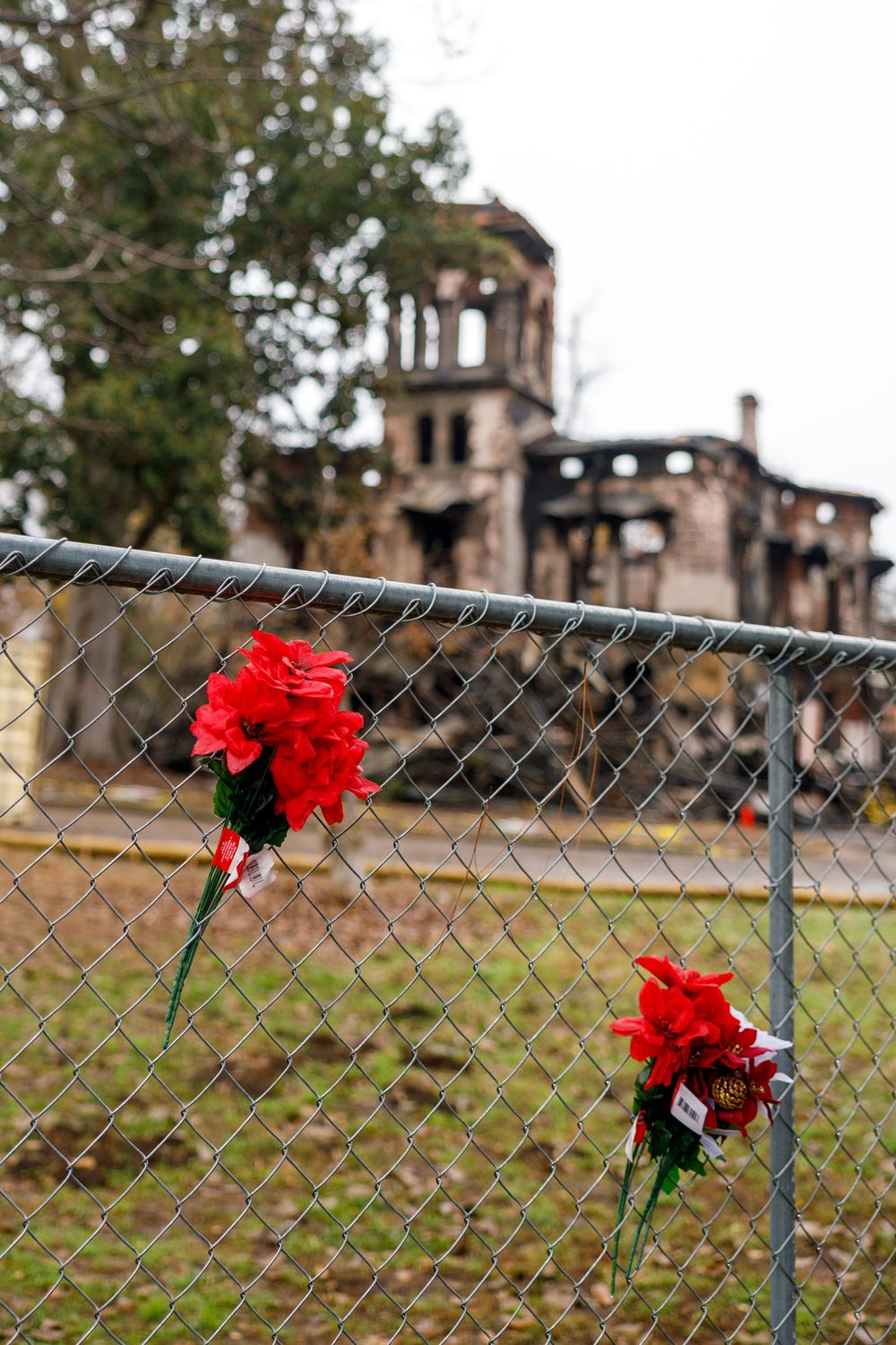 Red carnations tied to a chain link fence with a weathered stone church building in soft focus in the background.