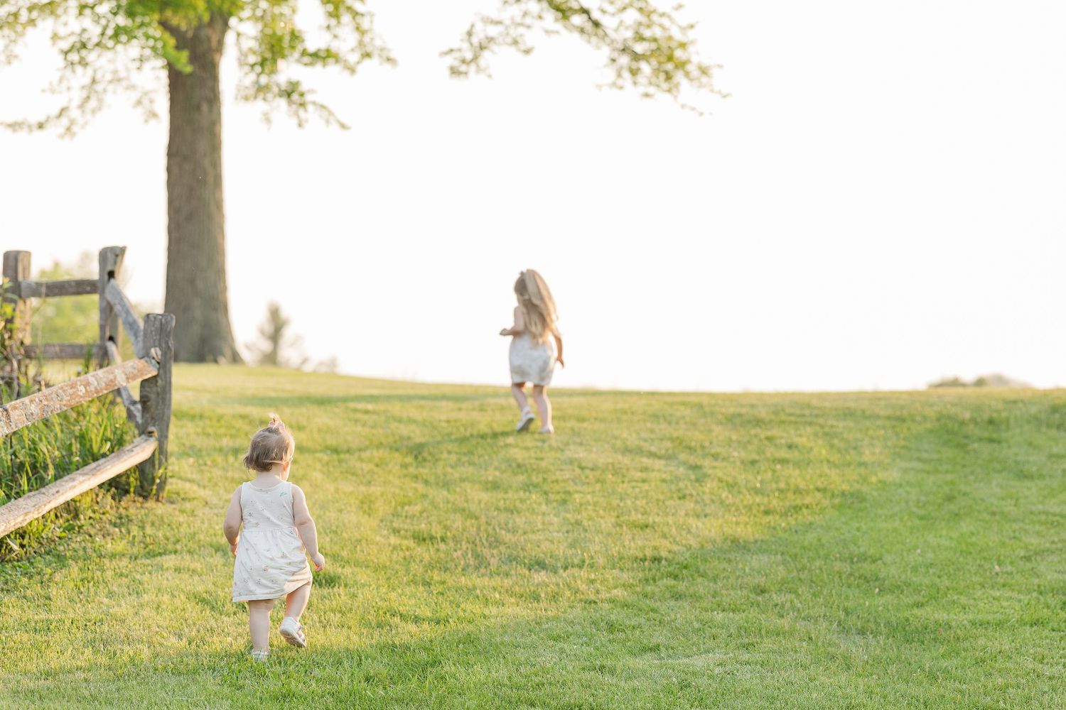 Two small children playing on a grassy hill beside a large tree in this vintage black and white photograph.