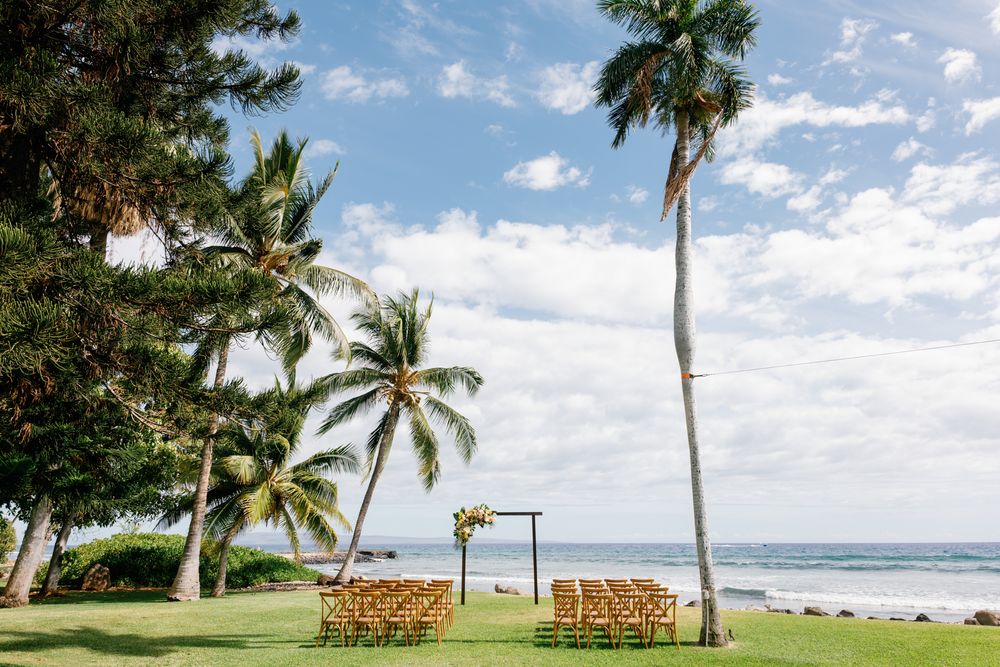 A series of beach lounge chairs positioned under tall palm trees along a pristine tropical shoreline with blue skies.