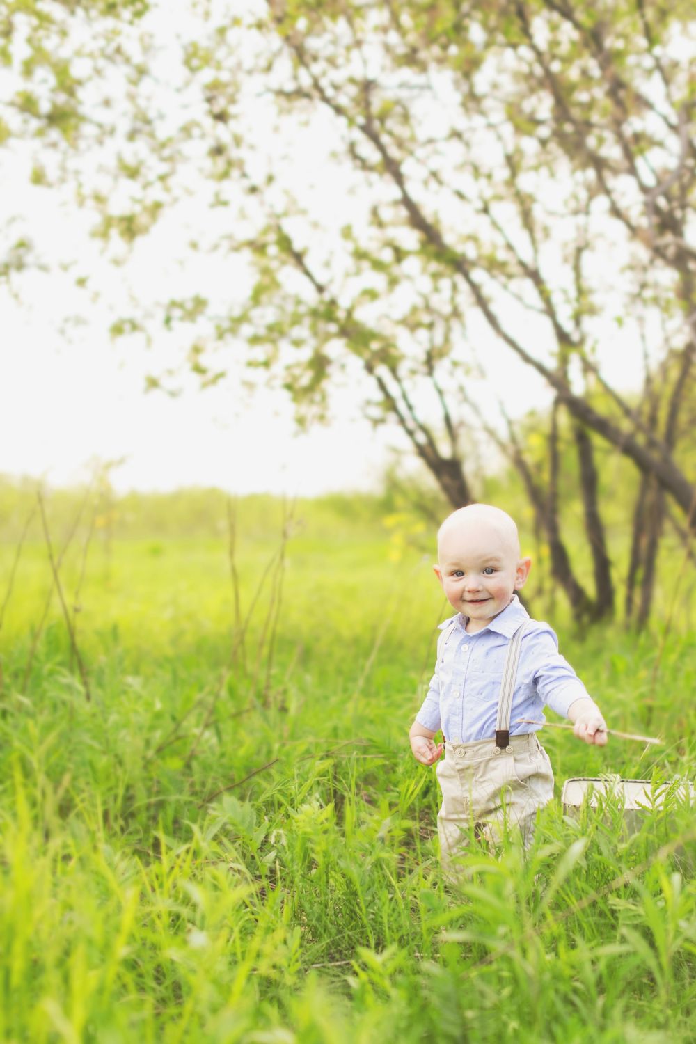 A small child explores tall grass in a sunny meadow wearing suspenders and a light colored shirt.