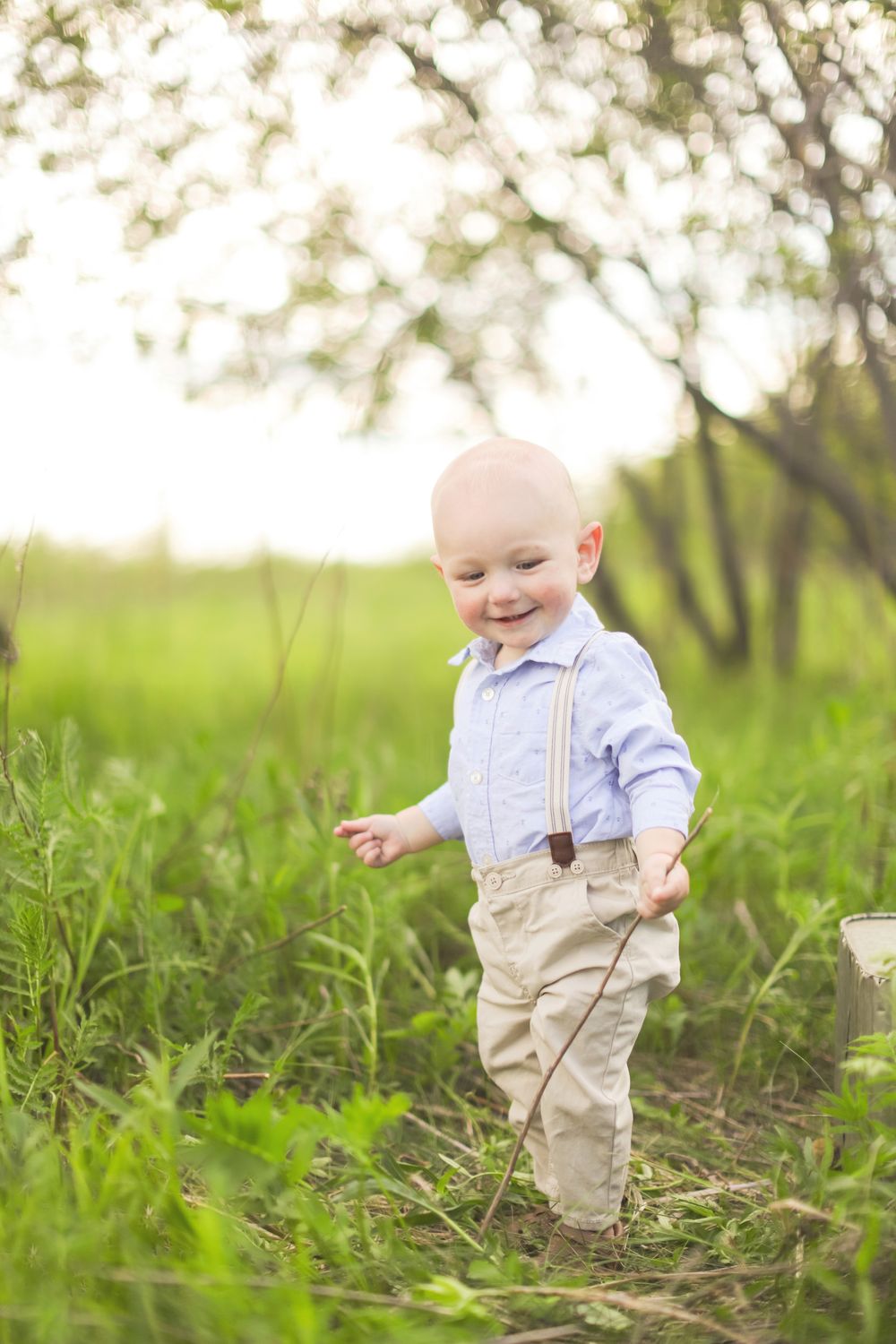 Small child in light blue shirt and suspenders exploring green spring meadow with natural bokeh background.