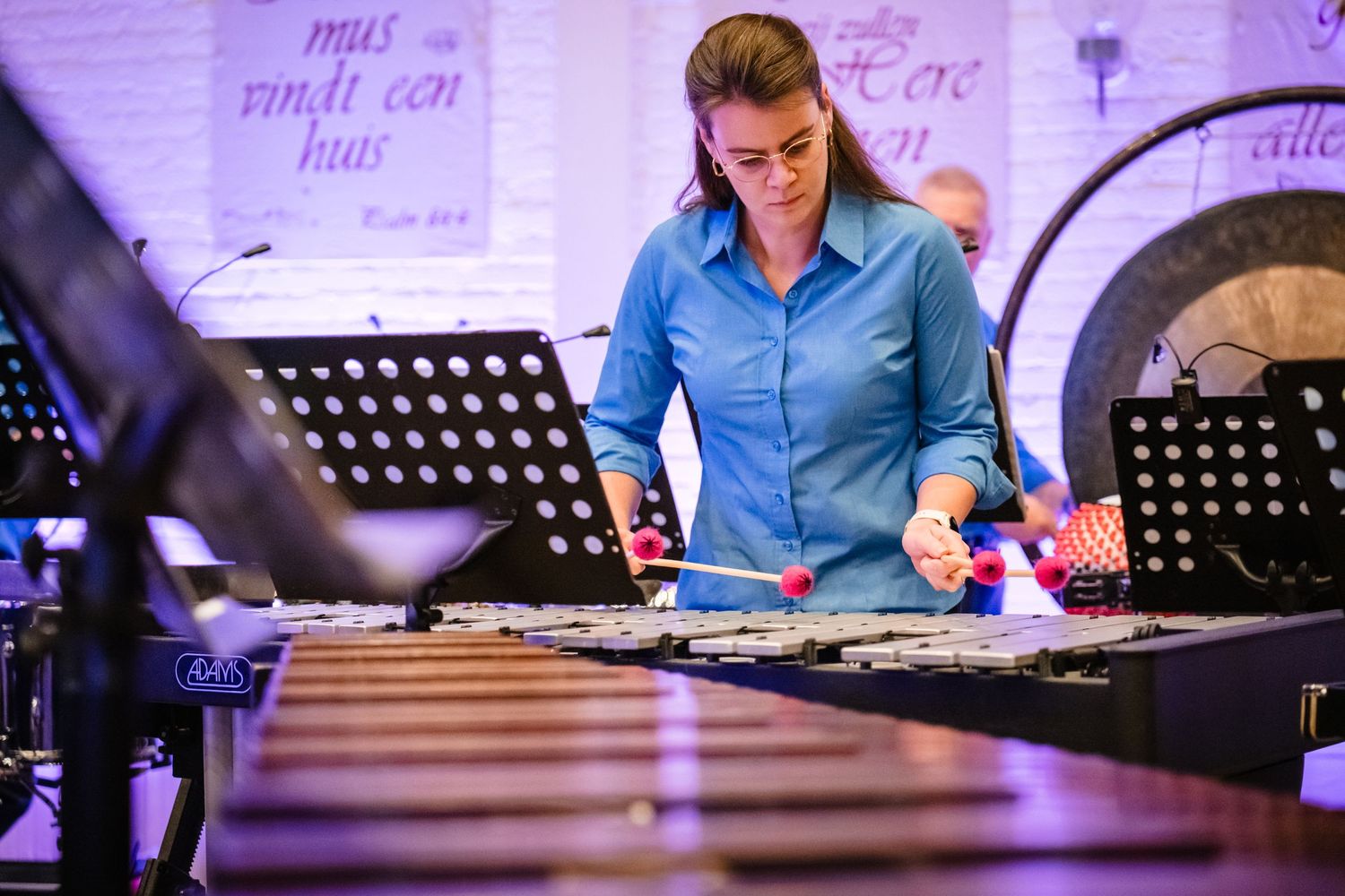 Concert, concertregistratie, concertfotografie, voorbeeld foto, muziek, blijvende herinneringen
