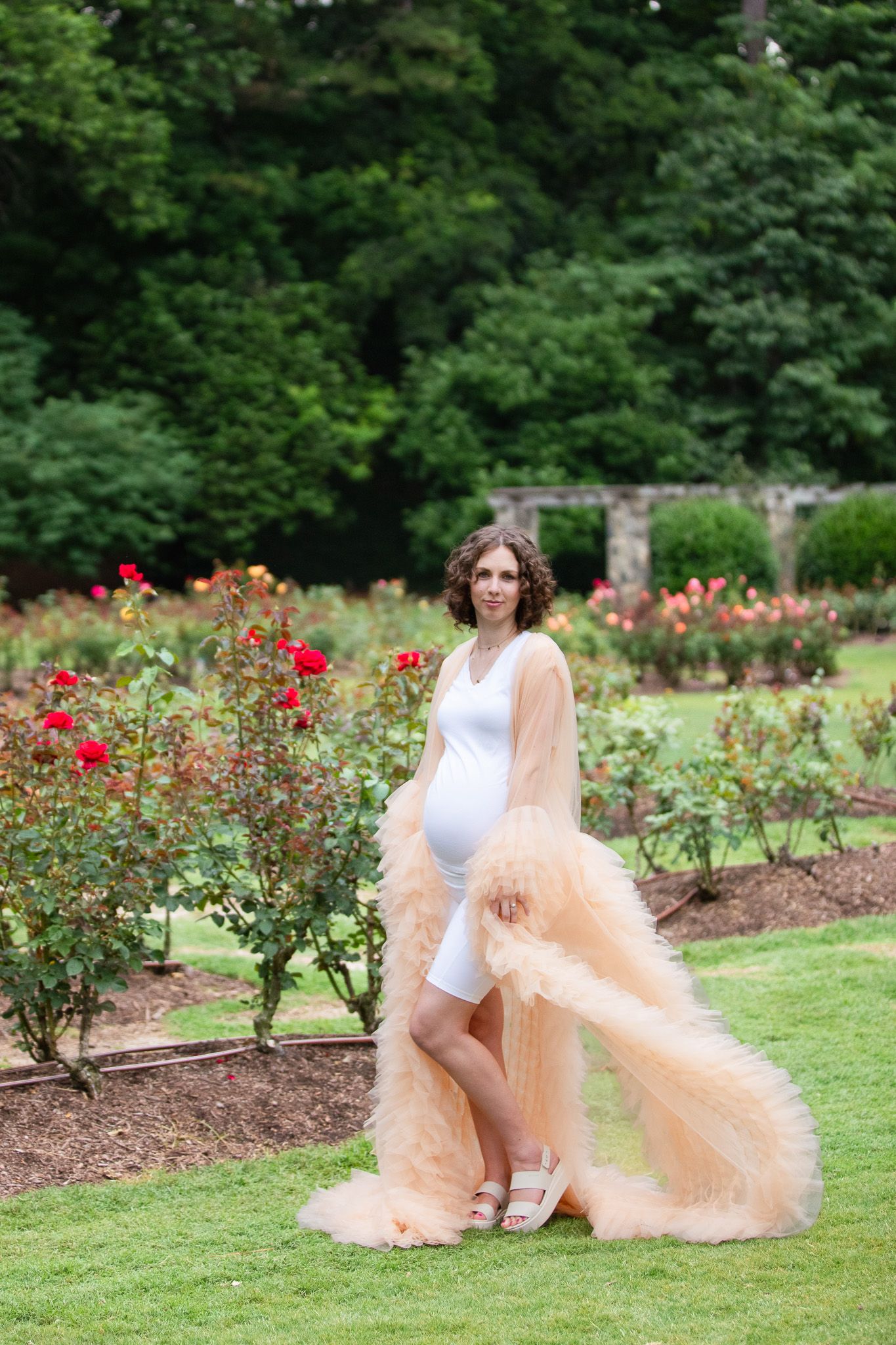 A romantic garden scene with blooming red roses and a flowing peach-colored tulle dress against lush greenery at the Raleigh Rose Garden