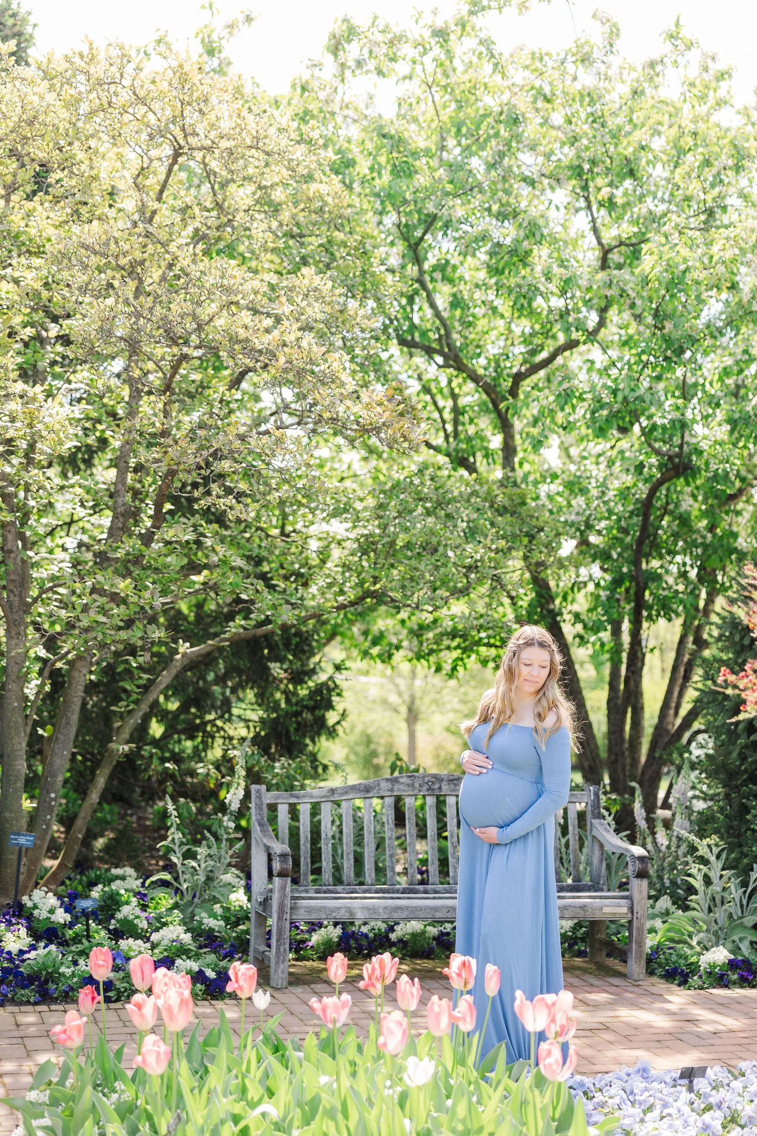 Serene outdoor maternity photo in a garden setting with a wooden bench surrounded by lush greenery and brick pavers at Chicago Botanic Garde