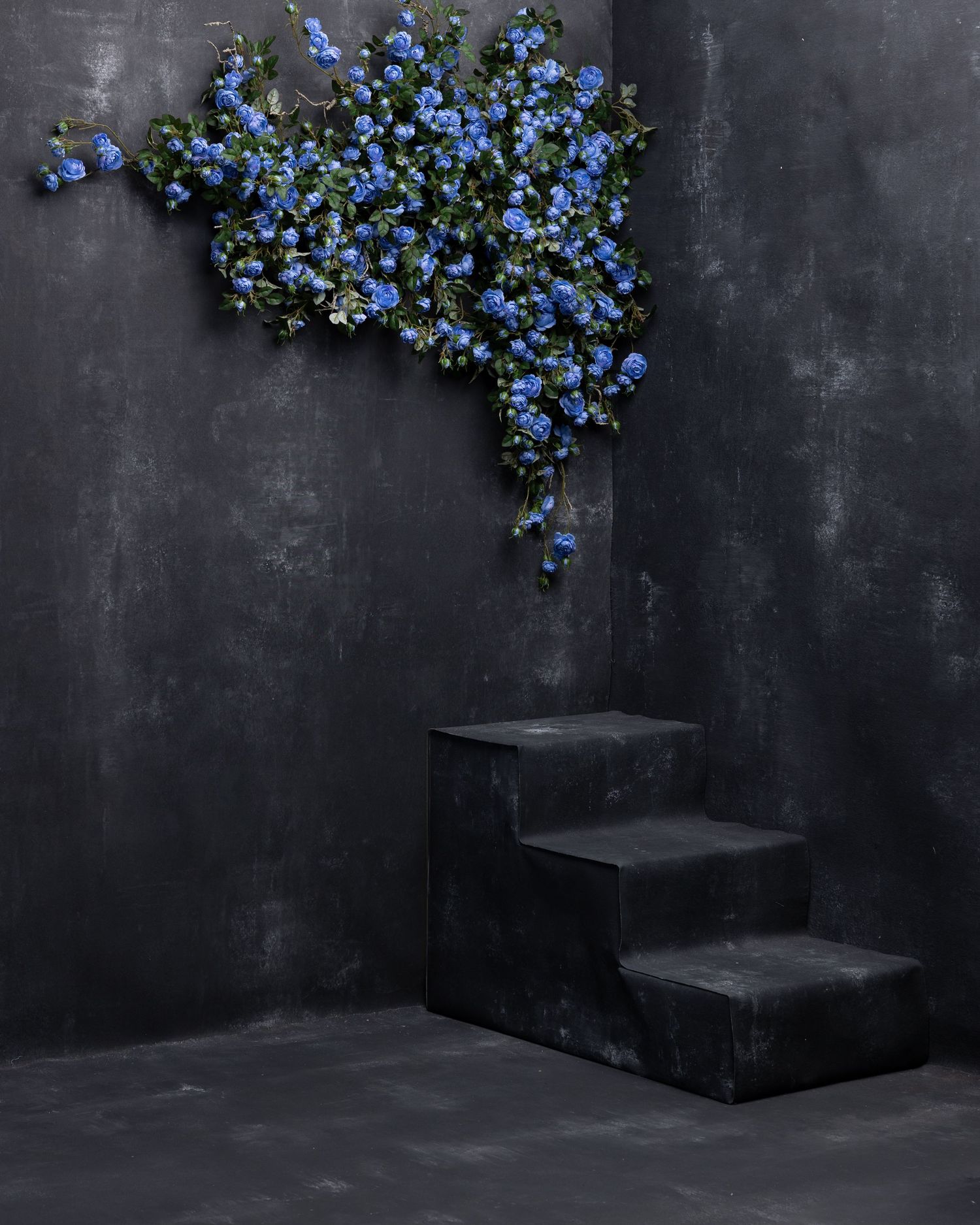 Yellow flowering vines cascade over dark concrete steps against a moody black wall creating dramatic contrast.