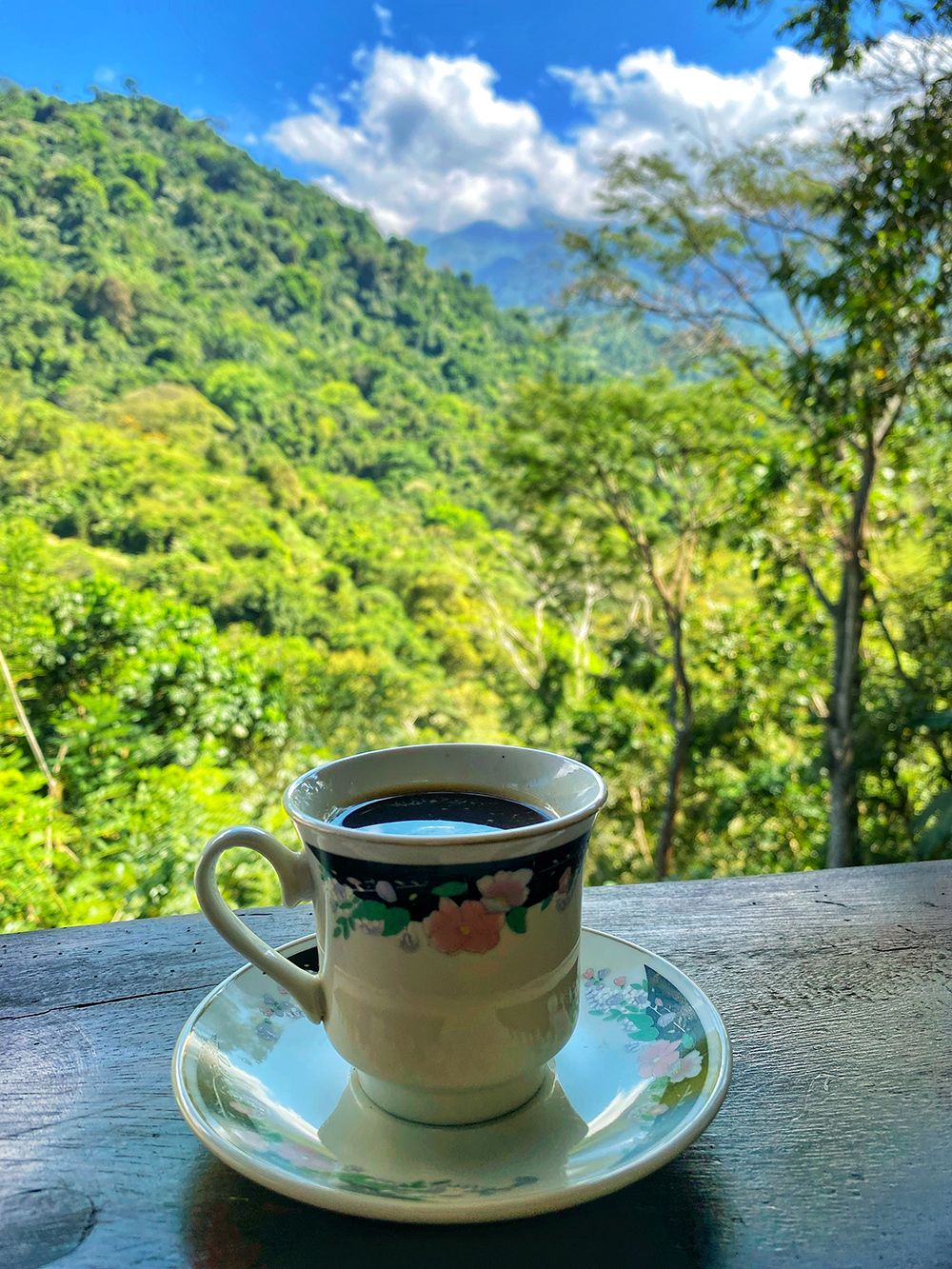 Cup of black coffee with mountain view in Colombia