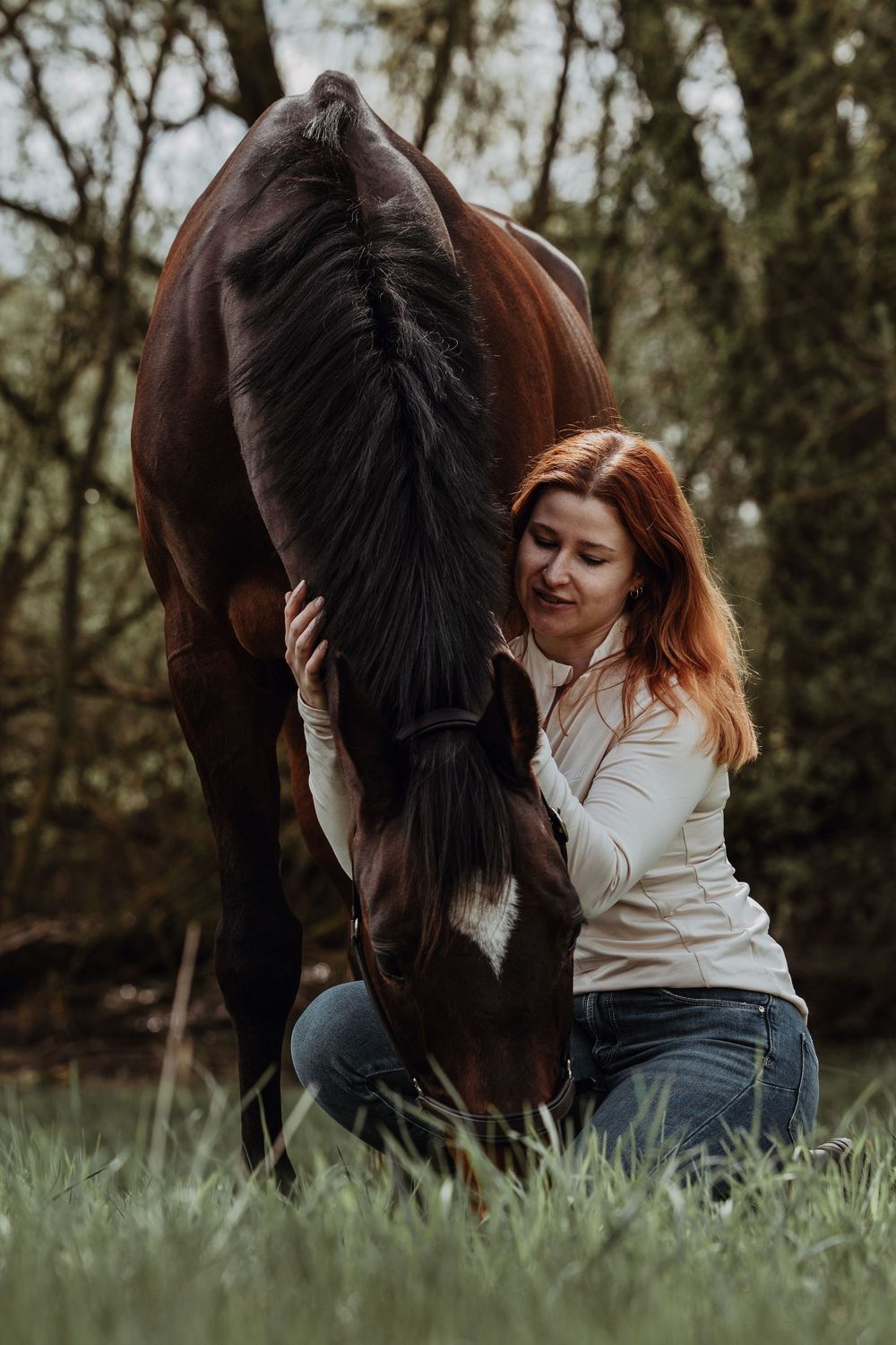 A person in a white sweater and jeans sits beside a majestic bay horse grazing in a lush forest setting.