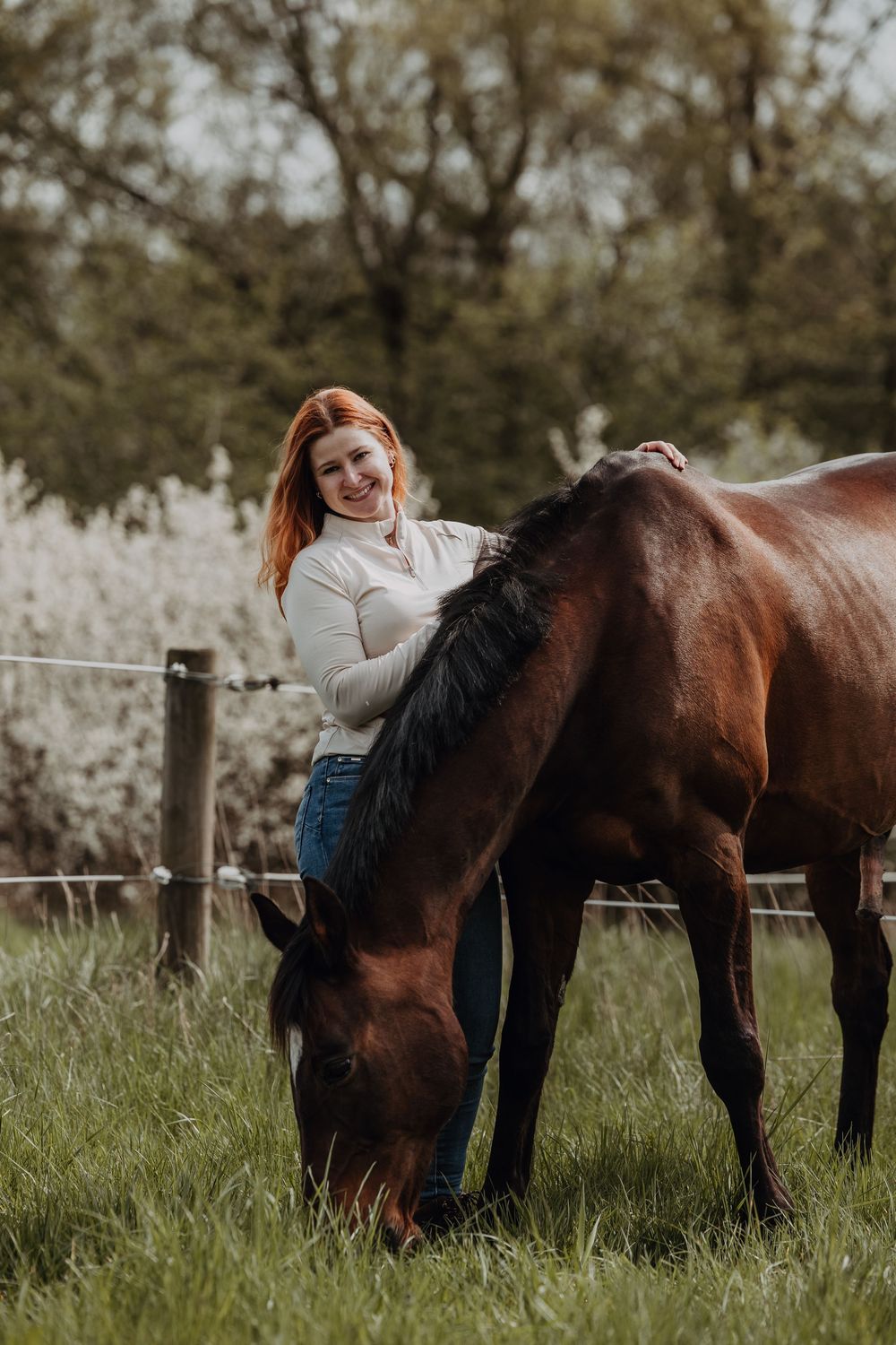 A beautiful brown horse grazes in a fenced pasture while someone in a white sweater and jeans stands beside it.