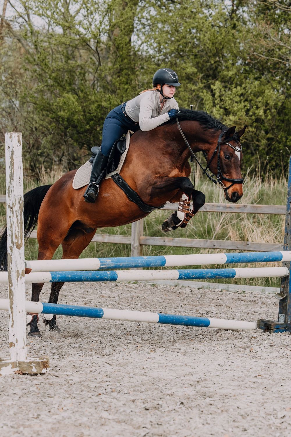 A horse and rider clearing a show jumping obstacle with blue poles in an outdoor arena during practice.