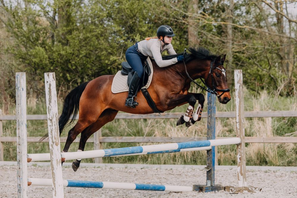 Horse and rider jumping over a blue and white show jumping fence in an outdoor arena during equestrian training.