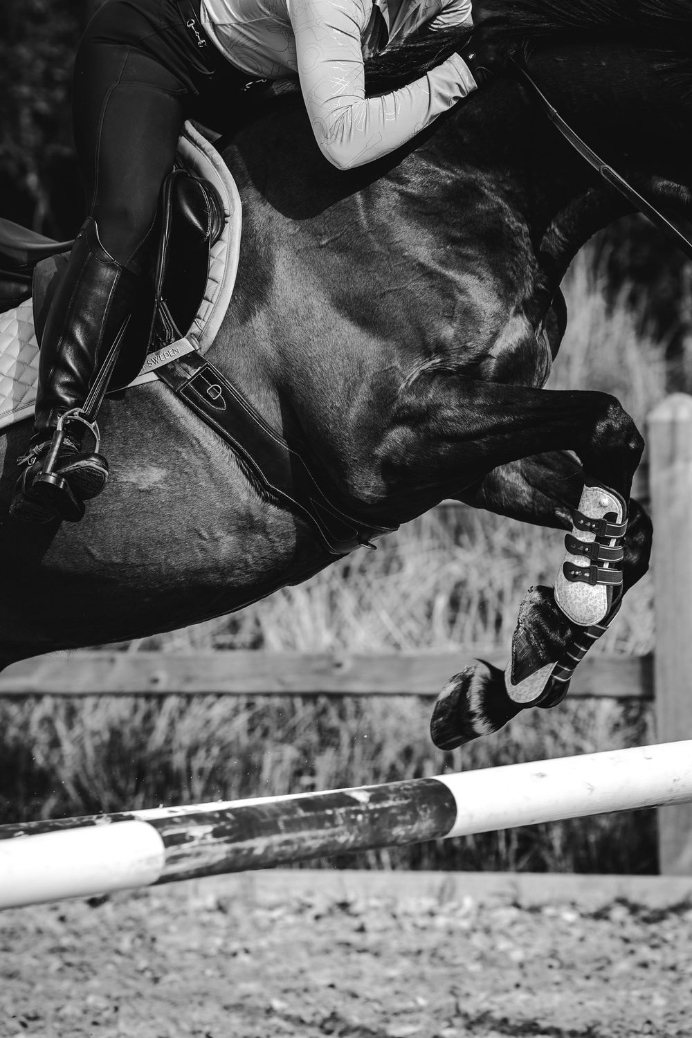 Close-up black and white shot of a horse and rider clearing a jumping pole in equestrian competition.