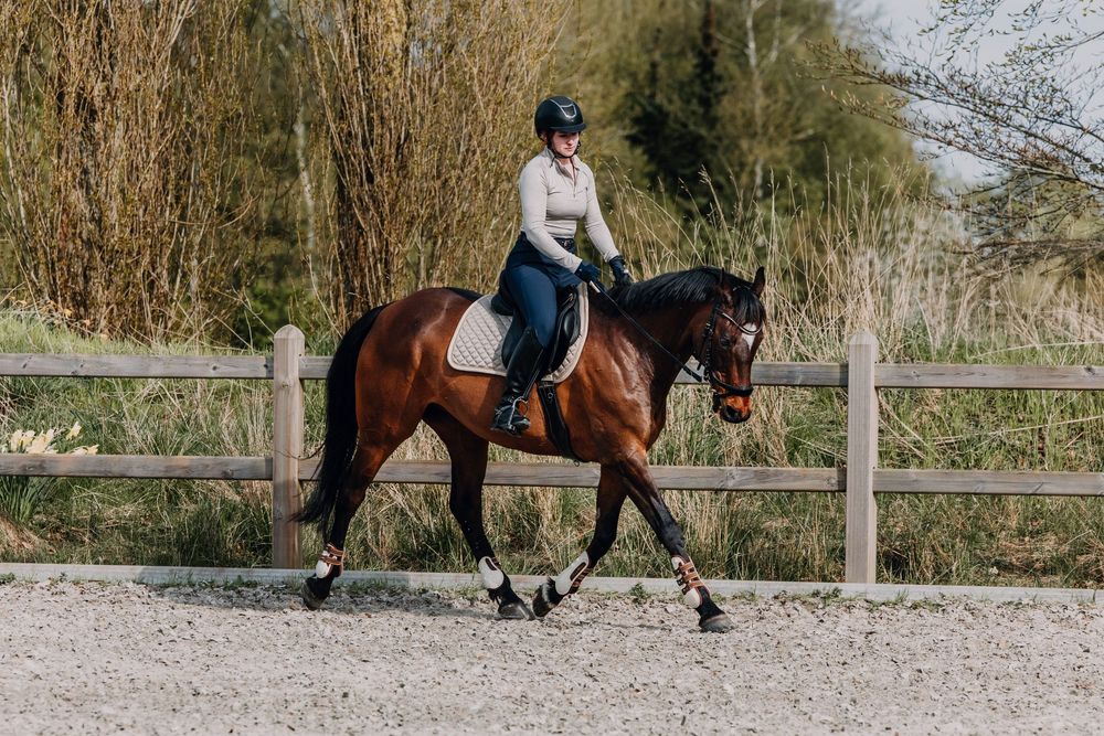 A rider in blue on a bay horse practices dressage in an outdoor sand arena with wooden fencing.