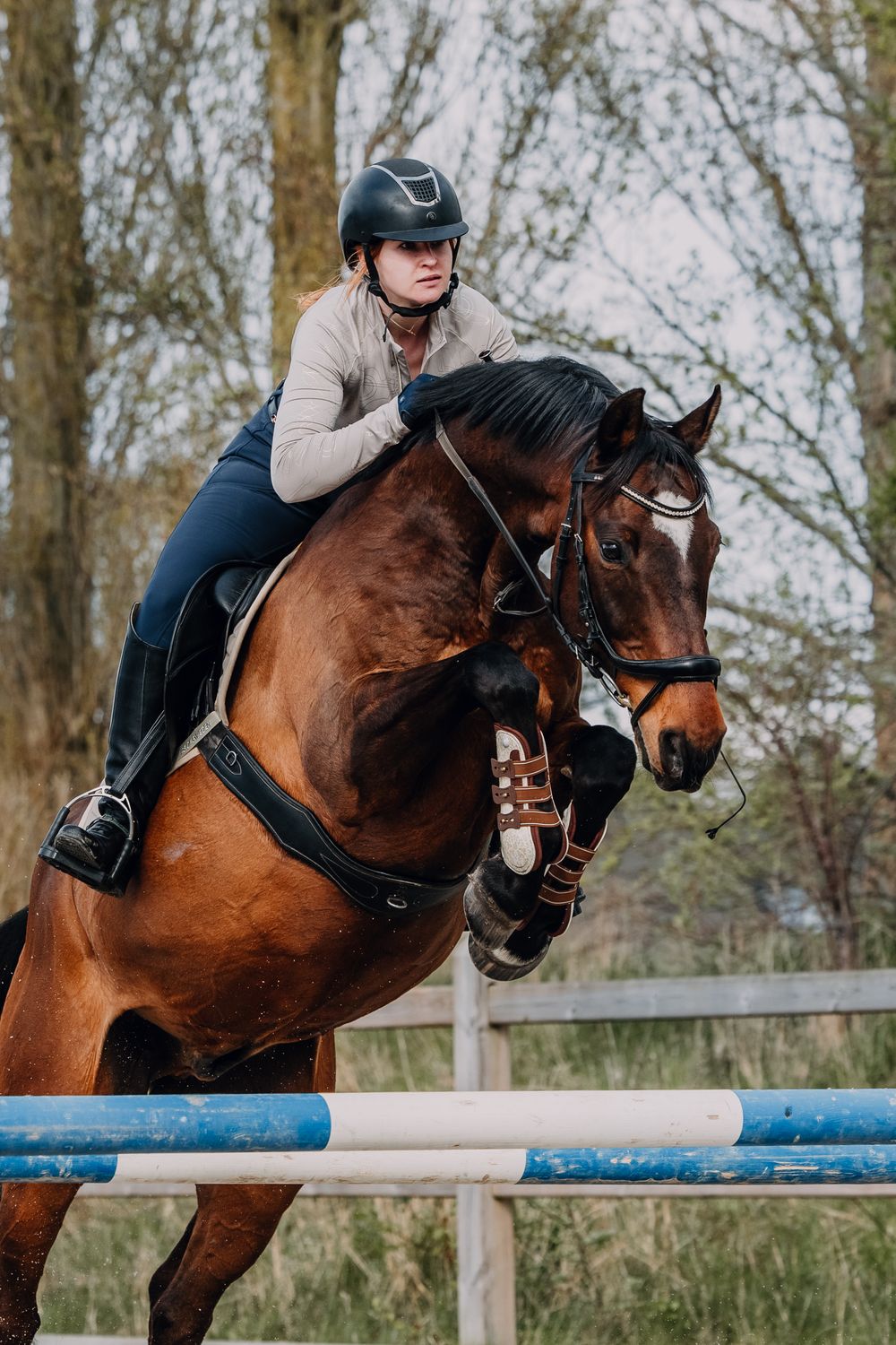 Rider on bay horse clearing a blue show jumping pole during an outdoor equestrian competition.