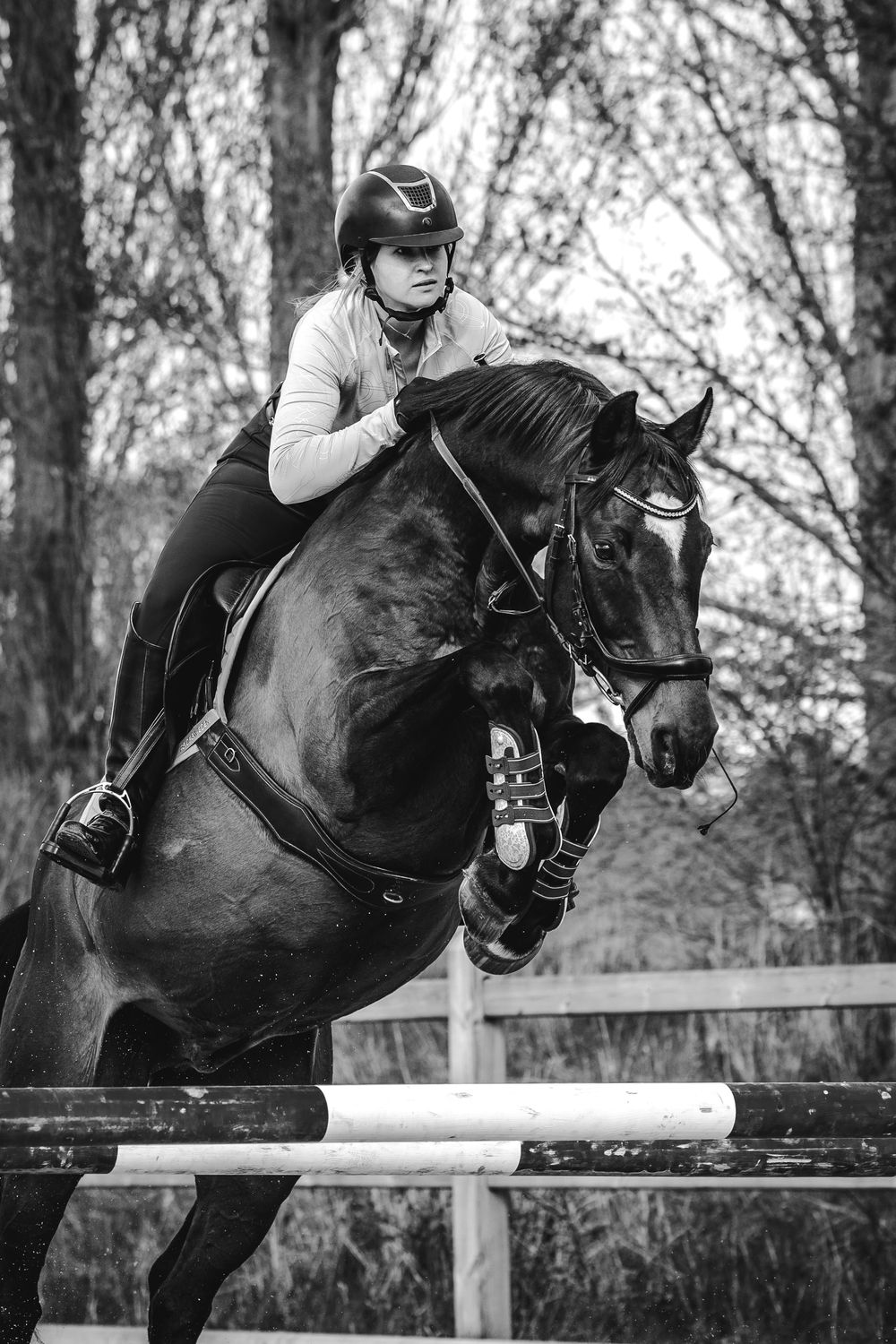 A rider and dark horse leaping over a show jumping fence in black and white composition during equestrian training.