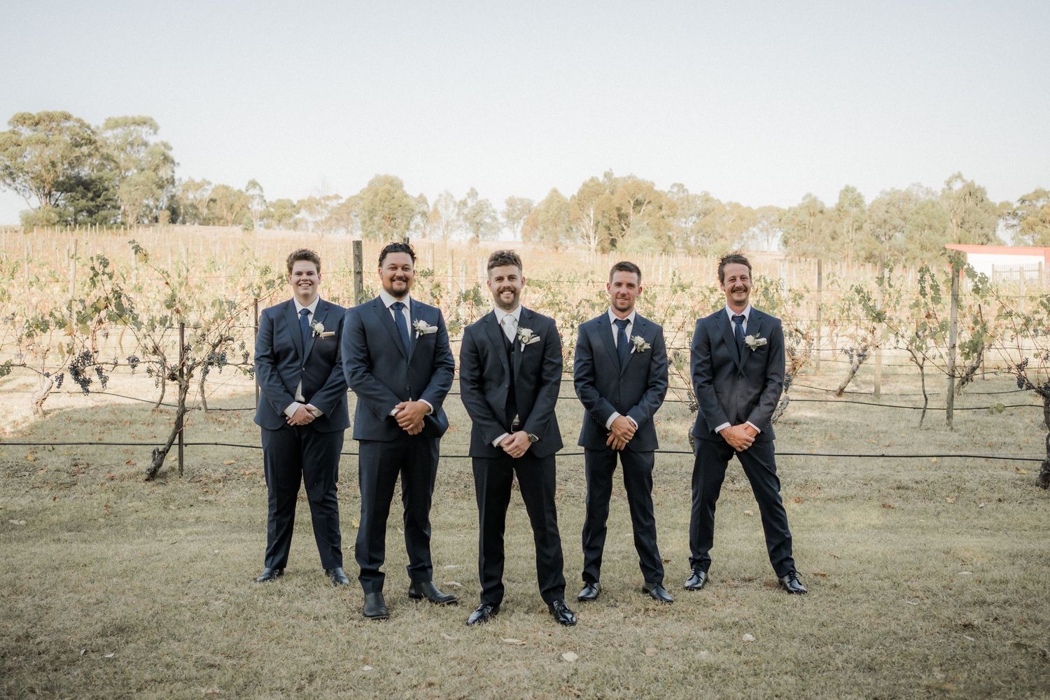 Groomsmen in matching navy suits stand together in a vineyard background.