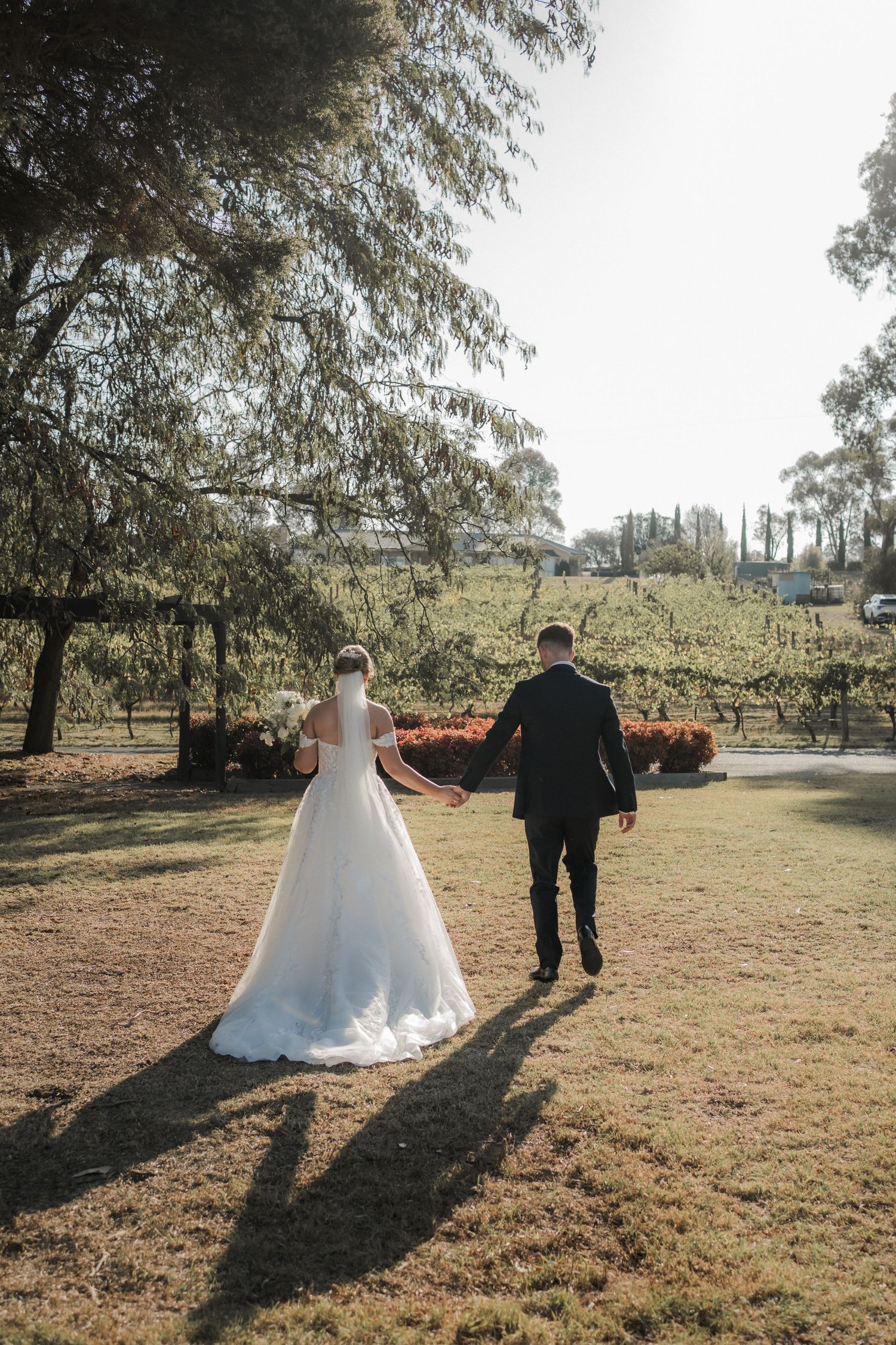 Newlyweds walk hand in hand through vineyard with autumn trees in background.