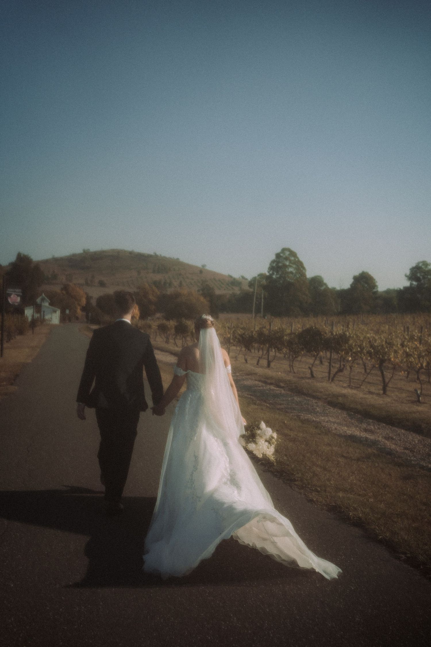 Wedding couple holds hands while walking along path through rustic vineyard setting.