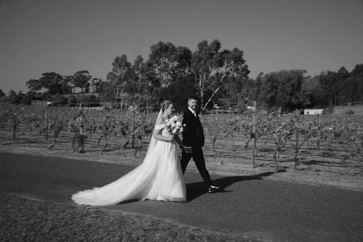 Black and white photo of couple walking through vineyard on their wedding day.