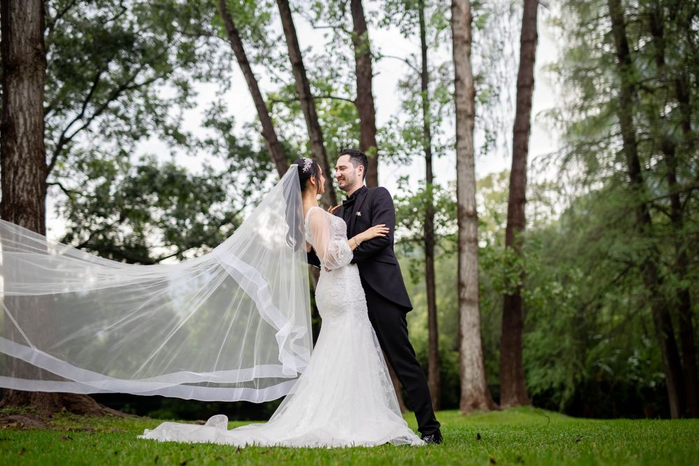A dramatic wedding portrait with flowing veil captured against a backdrop of tall trees.