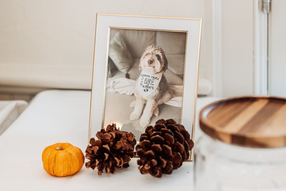 Framed photograph displayed with pinecones and small orange pumpkin decoration on wooden surface.