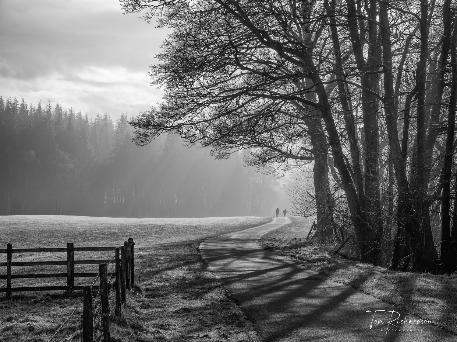 Evening in the valley of the River Dunsop, Forest of Bowland.