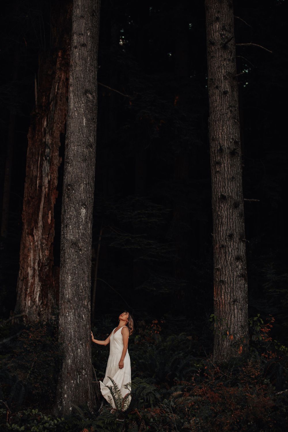 Unique Night Portrait in the Woods