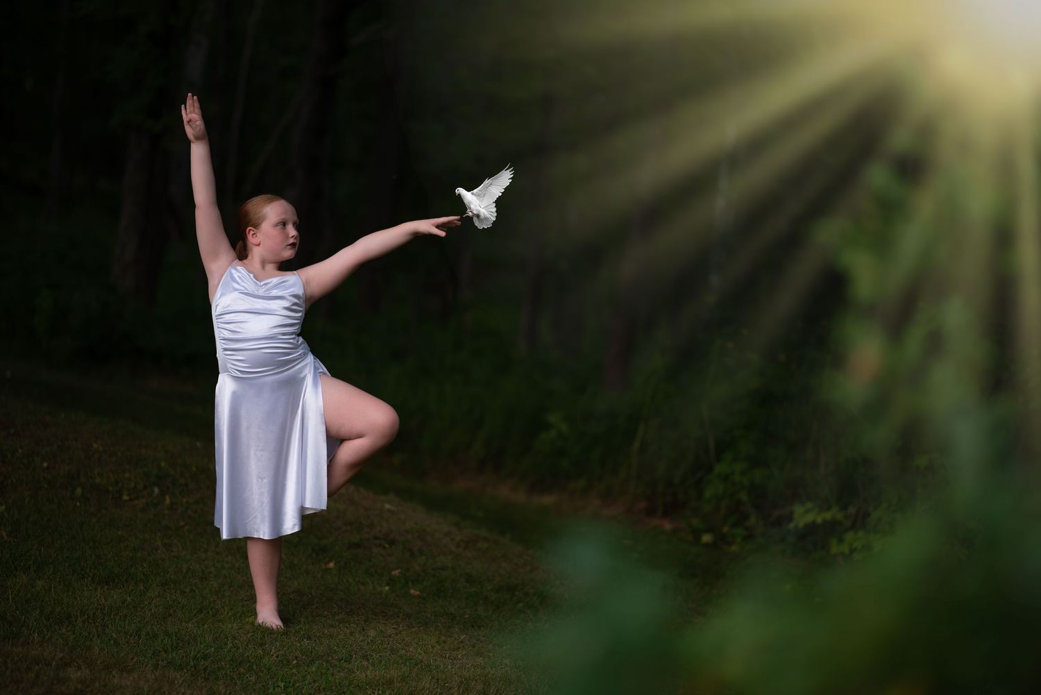 Specialty Portrait Sessions!