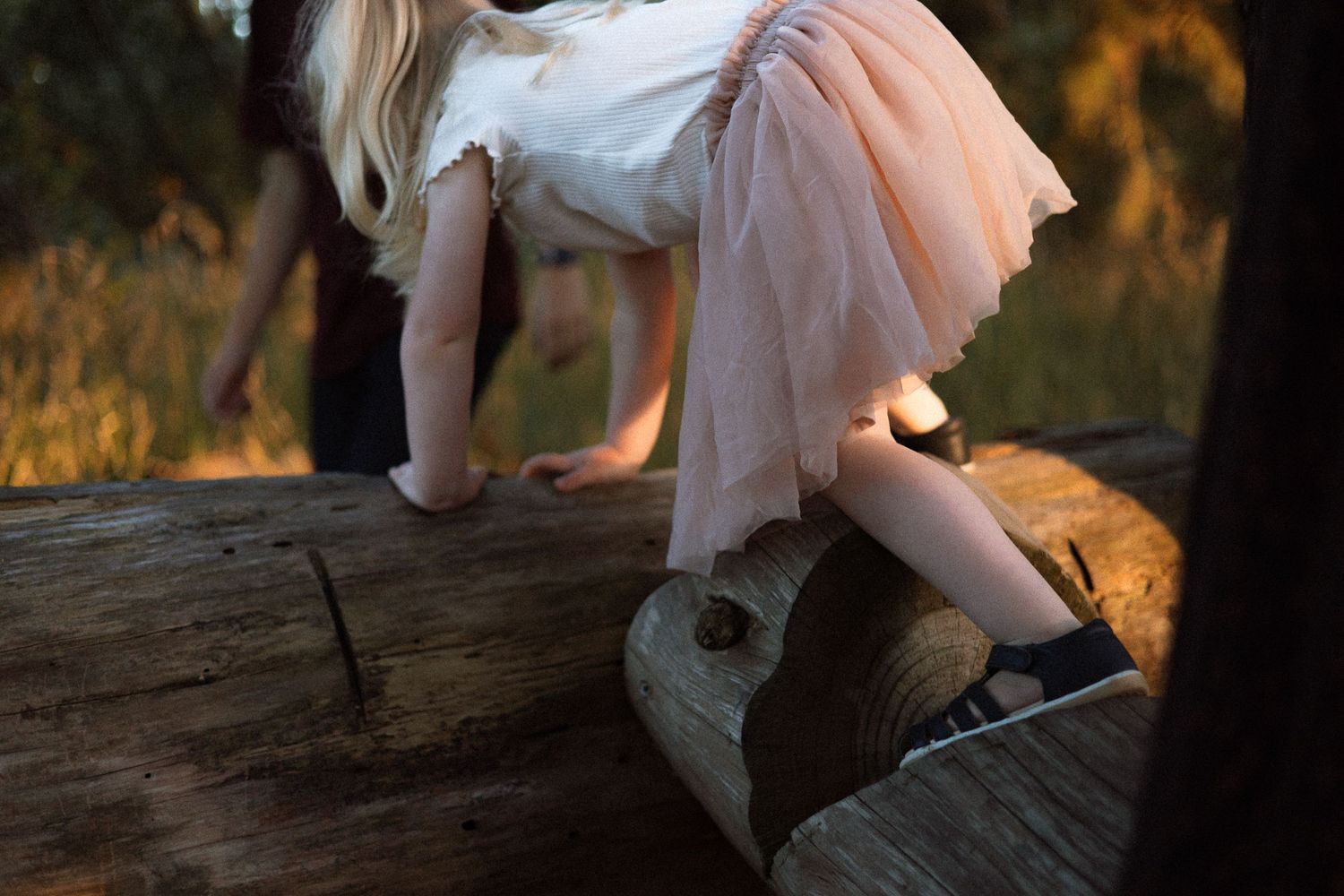family-photographer