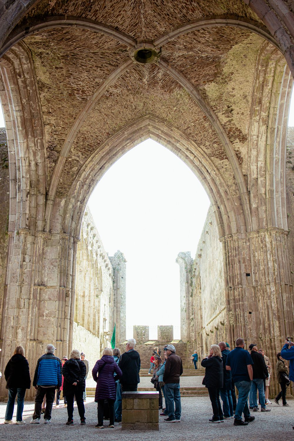 Visitors explore the historic Gothic arches and ruins of an ancient abbey with stone vaulted ceilings and pointed archways.