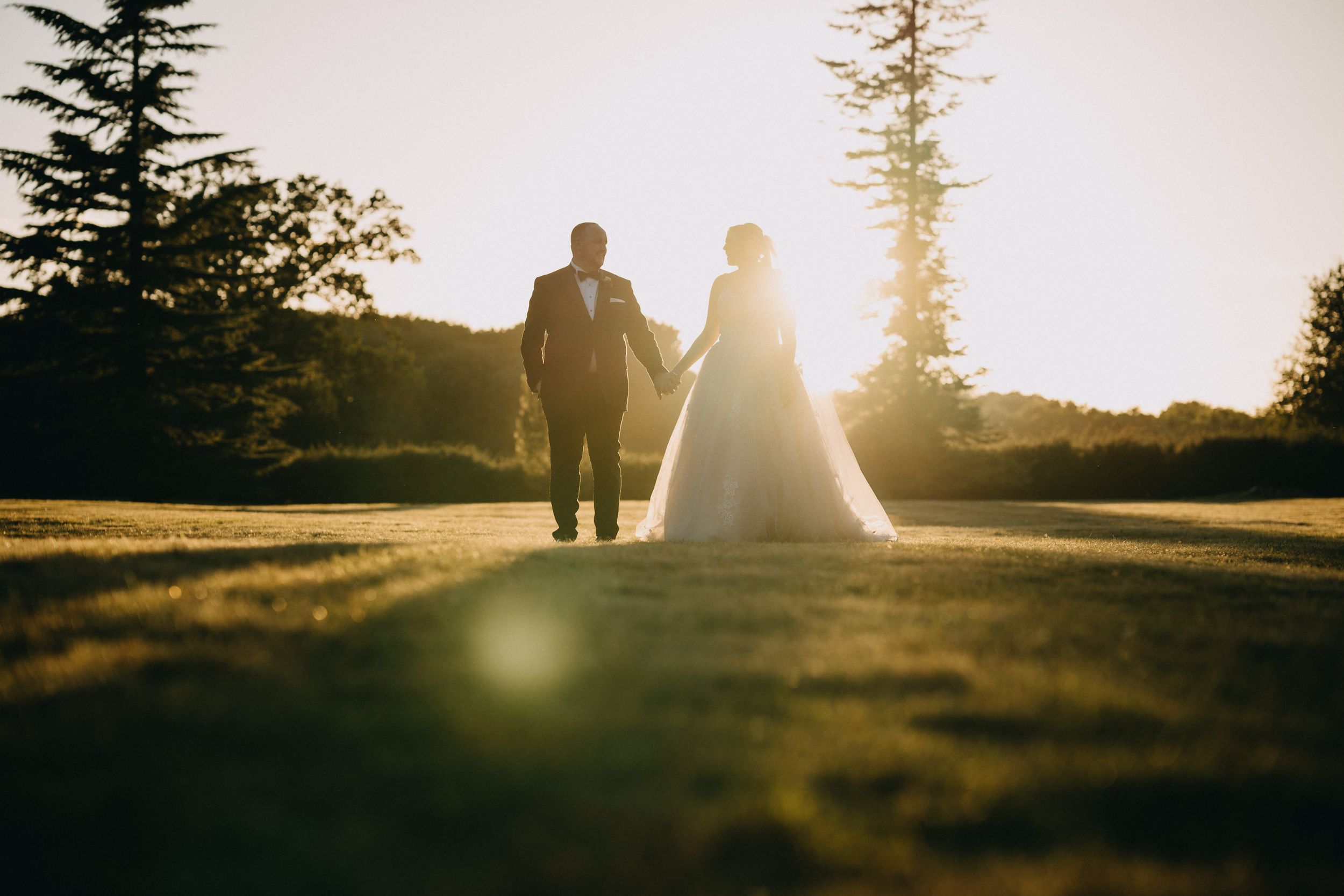 A silhouetted couple holds hands at sunset, golden light streaming through evergreen trees on their wedding day.