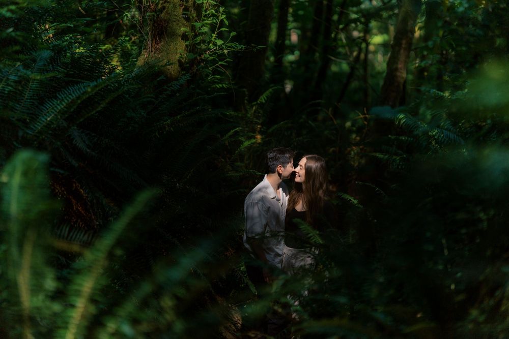 Sunlit forest with lush green foliage and dappled light filtering through tree canopy creating a mystical atmosphere.