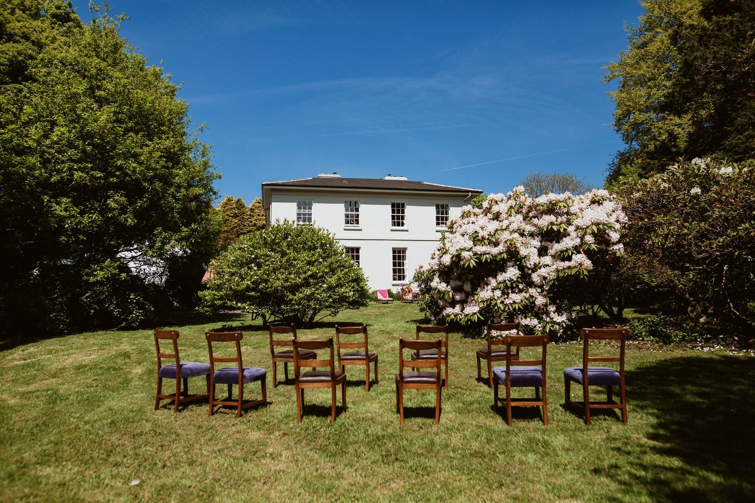Wooden chairs arranged on a sunny lawn in front of a white colonial house with blooming magnolia trees in spring.