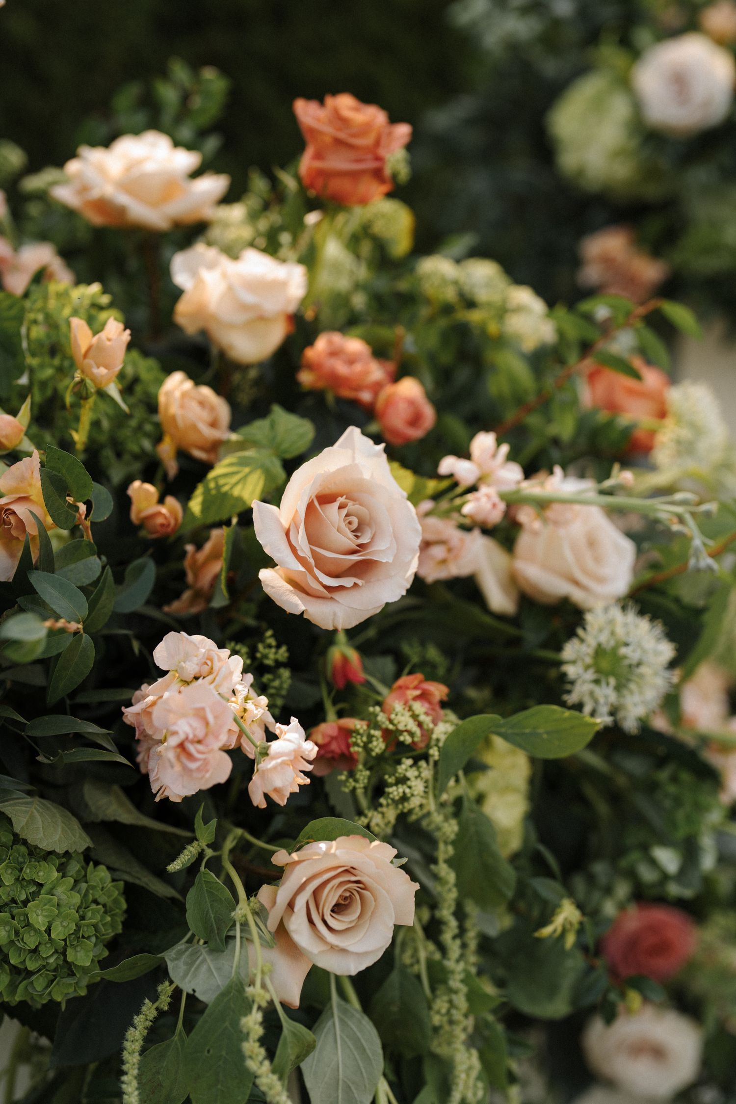 Blush pink roses and mixed foliage create a lush garden arrangement with soft peach and coral blooms against dark greenery.