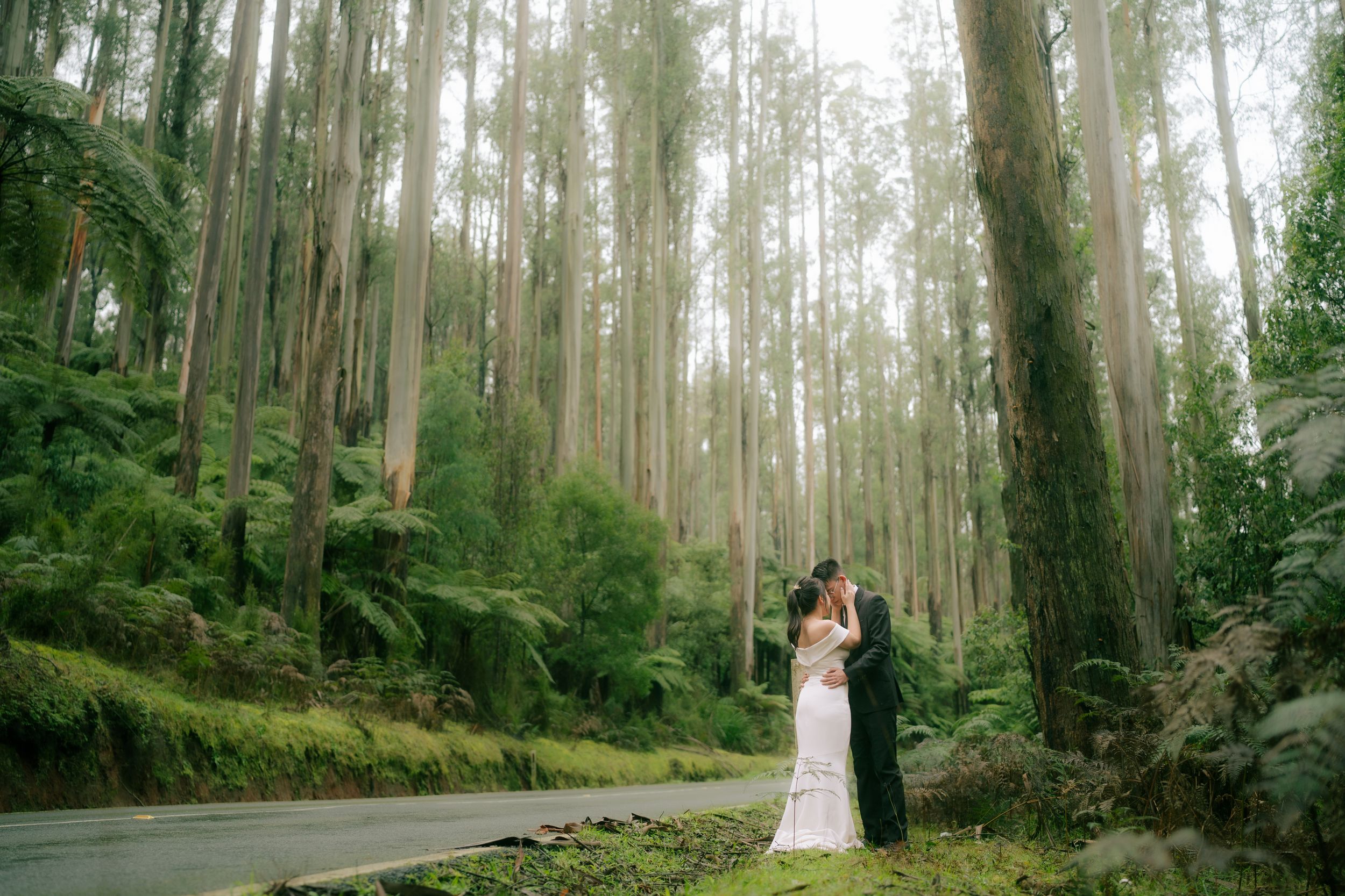 Tall eucalyptus trees line a tranquil forest path with rays of sunlight filtering through the canopy.
