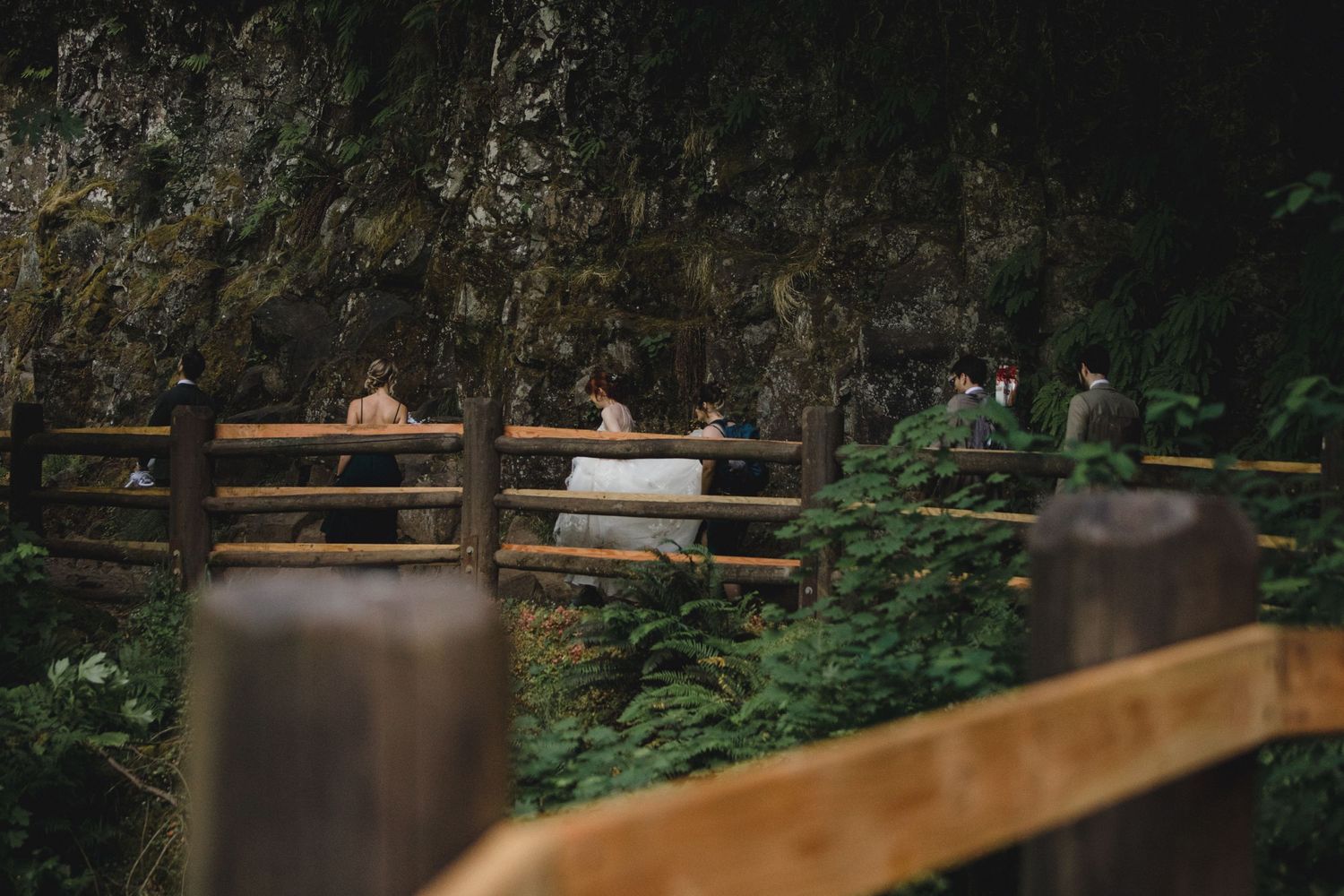 A long wooden bridge walkway stretches through a lush green forest canopy with filtered sunlight.