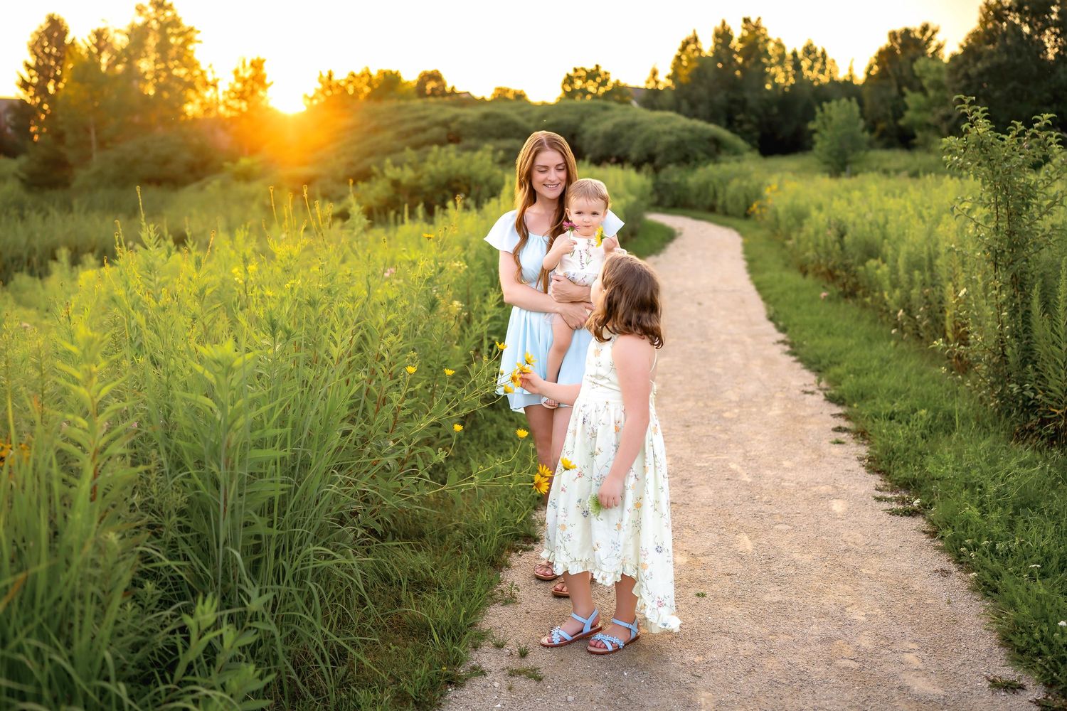A beautiful evening walk along a golden-lit dirt path surrounded by tall grass and wildflowers during sunset.