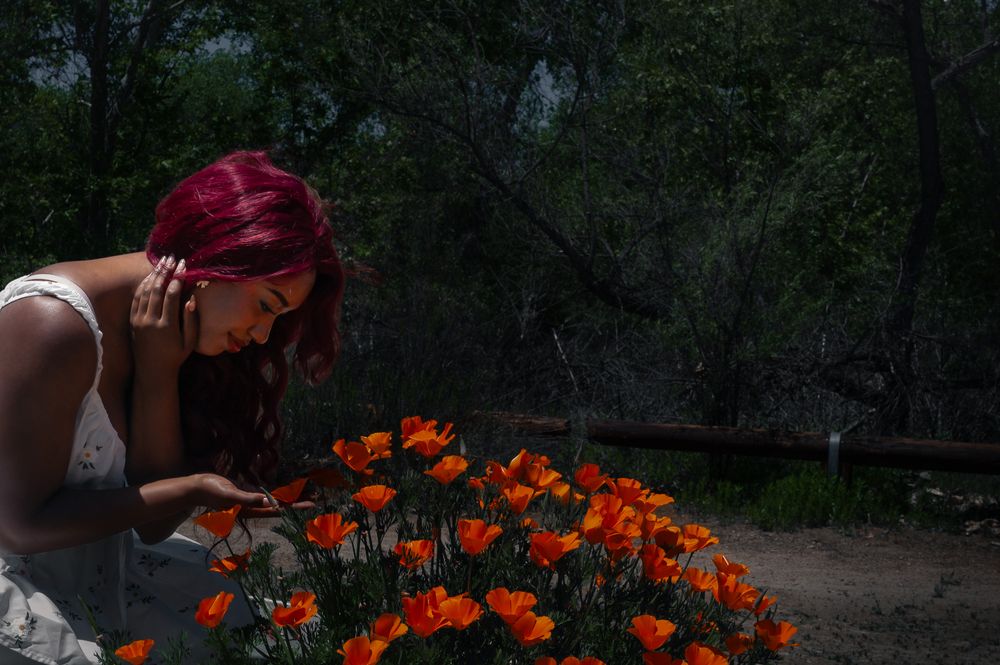 Someone with vibrant red hair bends down to examine a patch of bright orange poppies growing in a garden.